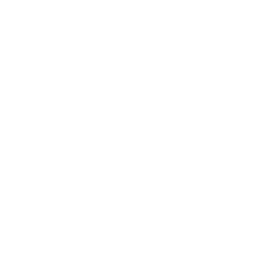 Shane Burgos, UFC
